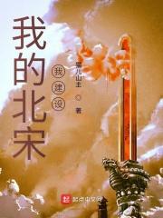 我的北宋我建设