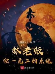 林老板独一无二的系统