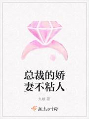 总裁的娇妻不粘人