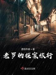 老罗的探案旅行