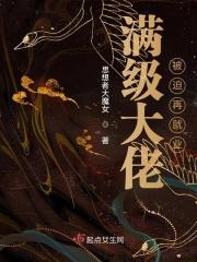 满级大佬被迫再就业