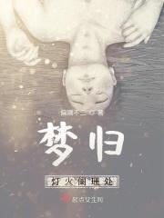 梦归灯火阑珊处