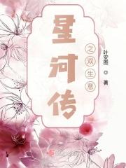 星河传之双生意
