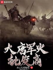 大唐军火批发商