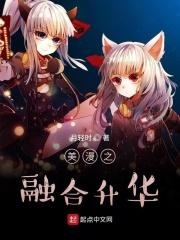 美漫之融合升华