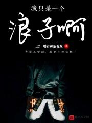 我只是一个浪子啊