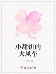 小甜饼的大风车