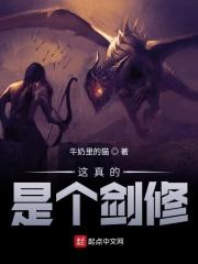 这真的是个剑修