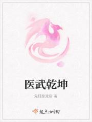 医武乾坤