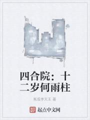 四合院：十二岁何雨柱