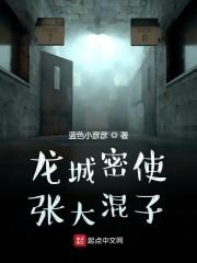 龙城密使张大混子