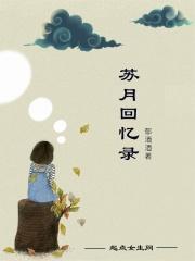 苏月回忆录