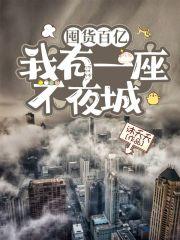 囤货百亿:我有一座不夜城