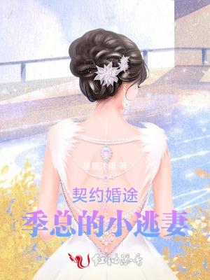 契约婚途:季总的小逃妻