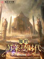 我的苏莱曼时代